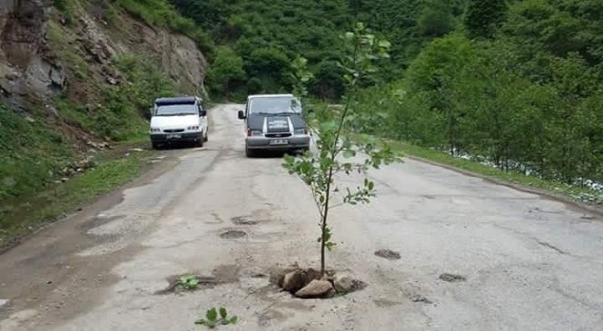 Giresun'da İlginç Yol Eylemi