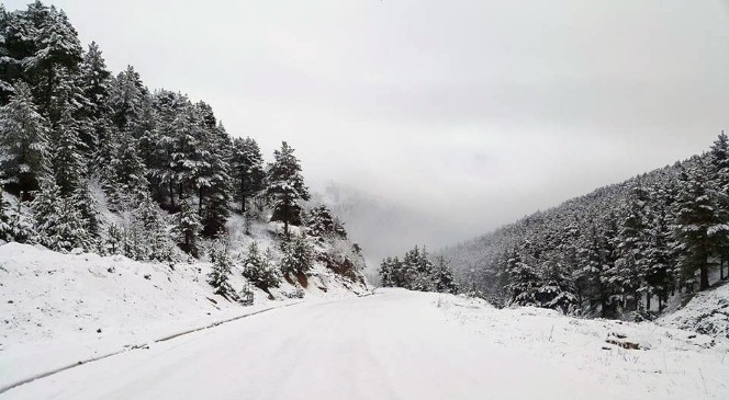 Gümüşhane'ye MAYıs Ayında Kar Yağdı