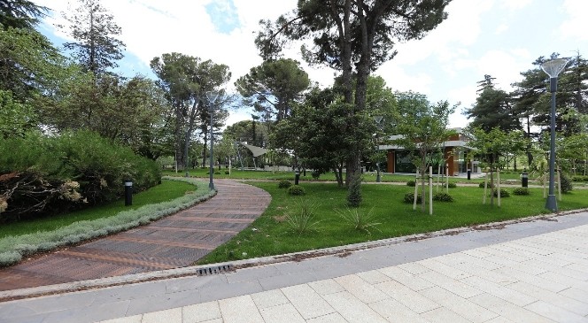 Fıstık Parkı'nda Sona Yaklaşıldı