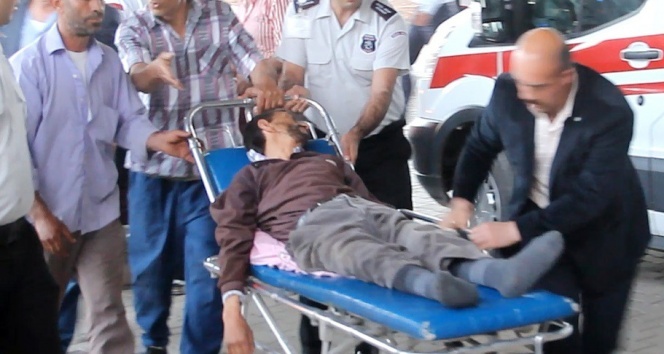 Fareye ateş etti, yengesini öldürdü