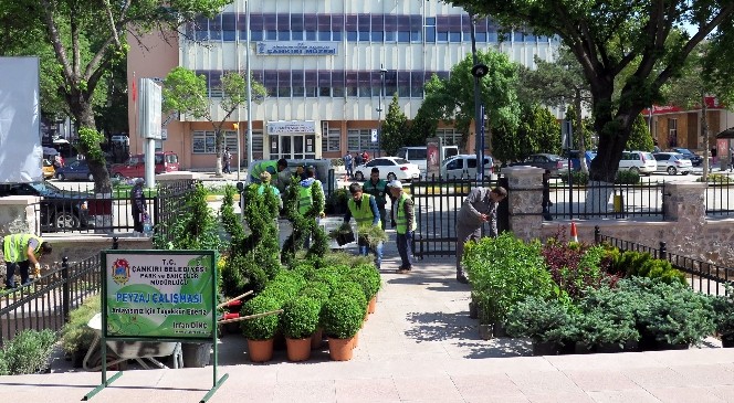 Çankırı Müzesi Çevresine Bitkisel Peyzaj Düzenlemesi