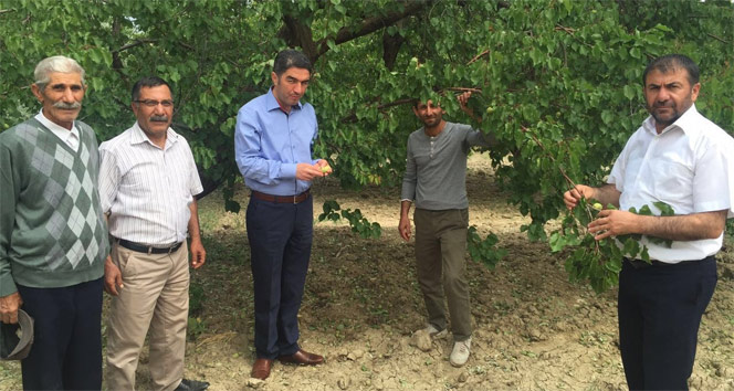 CHP’li Kiraz, Gümrük ve Ticaret Bakanı Bülent Tüfenkci’ye seslendi