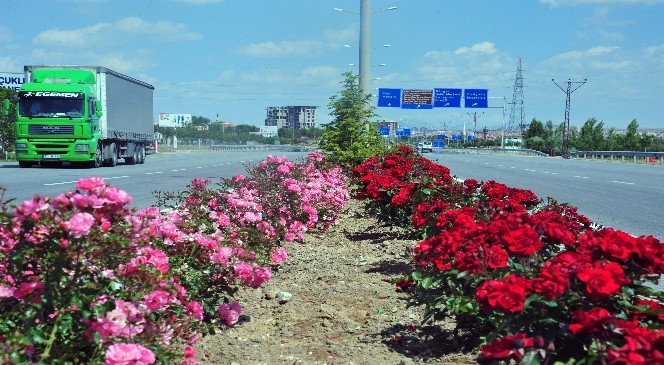 Karaman'da Şehir Girişleri Çiçek Gibi
