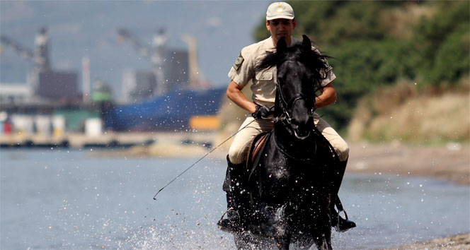 Cumhurbaşkanlığı Muhafız Alayı&#039;nın atları denizde eğitiliyor