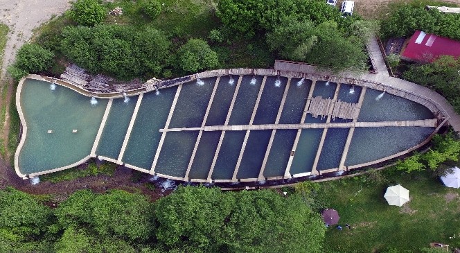 Bu Tesis Uzaydan Balık Şeklinde Görünüyor