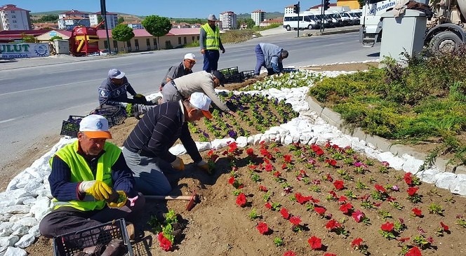 Sorgun'da Kavşak Ve Refüjlerde Çiçeklendirme Çalışmaları Devam Ediyor