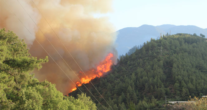 Kumluca&#039;daki orman yangını tekrar başladı