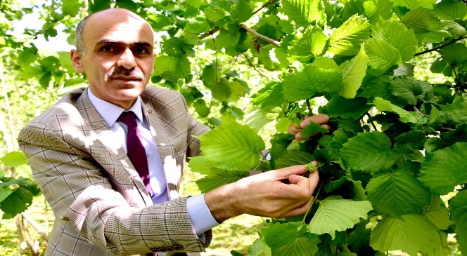 Ulusal Fındık Konseyi Başkanı Arslantürk'e Kozoğlu'nun Ardından Karan'dan Da Tepki