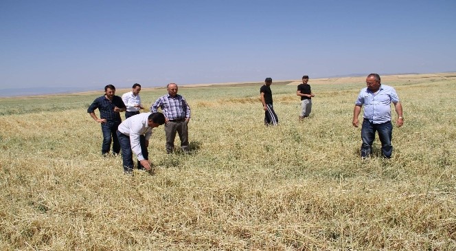 Yozgat'ta Dolu 15 Bin Dekar Ekili Alana Zarar Verdi