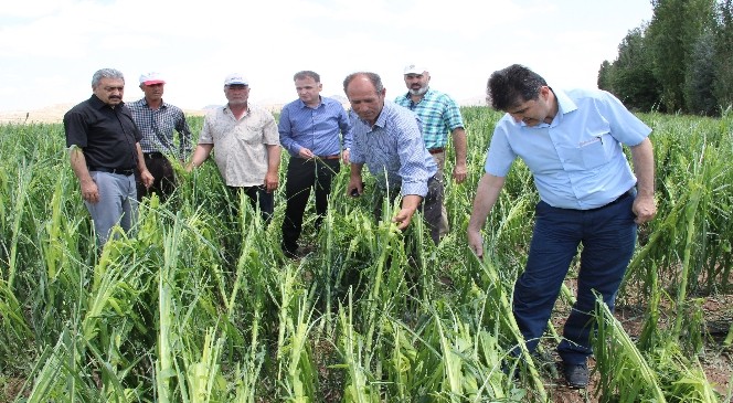 Karaman'da Dolu Tarlada Mahsul Bırakmadı