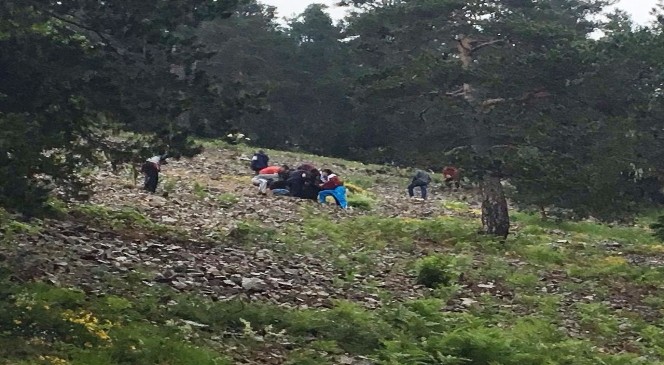 Giresun’da askeri helikopter düştü: 1 Şehit, 2 ağır yaralı