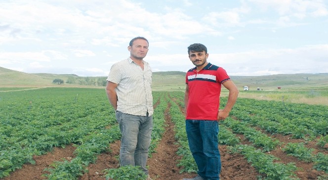 Gümüşhane’nin Köse ilçesinde Karadeniz’e yetecek patates var depo yok