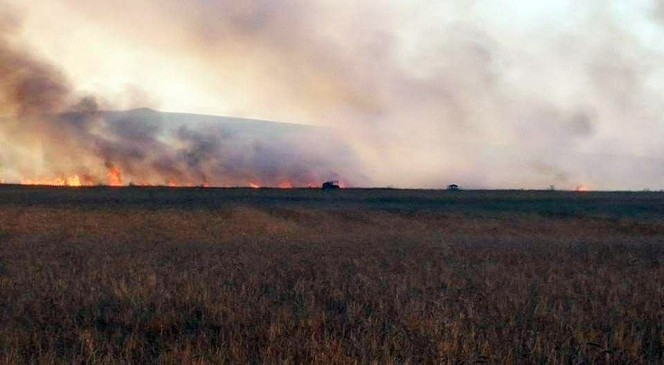 Sorgun’da ekili tarım arazisi yandı