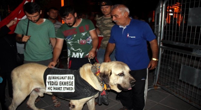 Kayseri’de demokrasi nöbetinin 12. günü