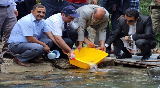 Gümüşhane’de derelere 20 bin alabalık daha bırakıldı