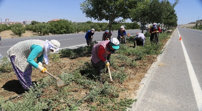 Belediyenin yeşillendirme çalışmaları