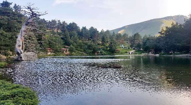 Sıcaktan bunalan Limni gölüne akın ediyor