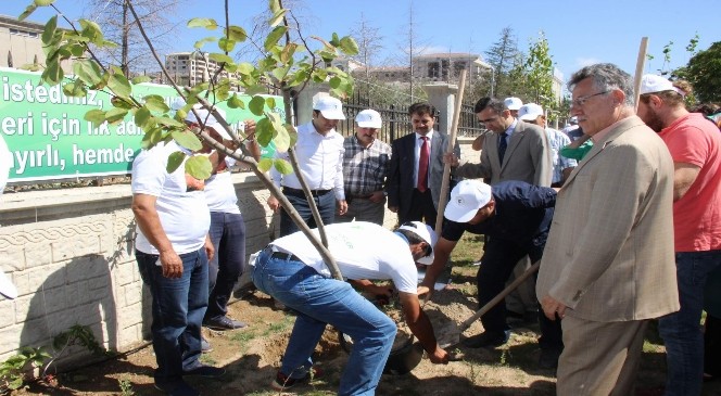 Yozgat Sürmeli etkinliklerinde fidan dikilip, temizlik yapıldı