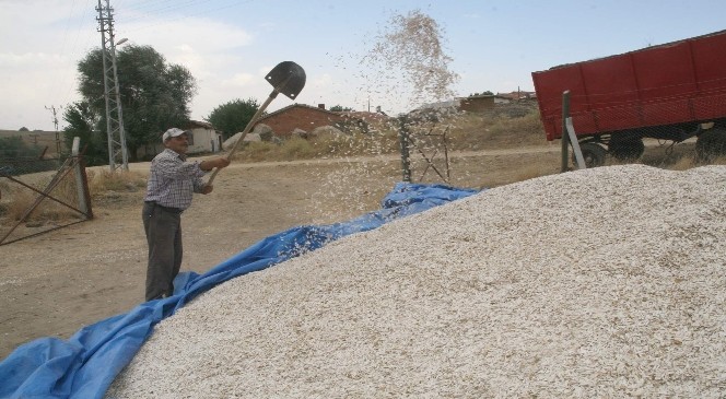 Yozgat Gıda Tarım ve Hayvancılık İl Müdürlüğünden çiftçiye destekleme uyarısı