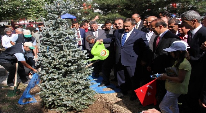 Bakan Eroğlu: "Çıkan bin 733 orman yangınında 6 bin 659 hektar alan yandı”