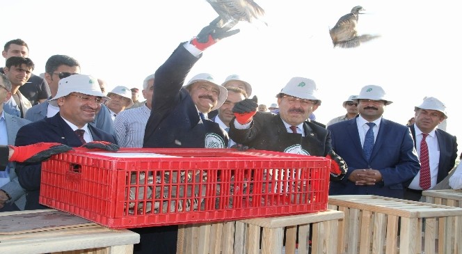 Orman ve Su İşleri Bakanı Eroğlu ile Adalet Bakanı Bozdağ, doğaya keklik saldı