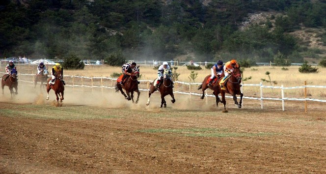 Taşköprü’de at yarışları nefes kesti