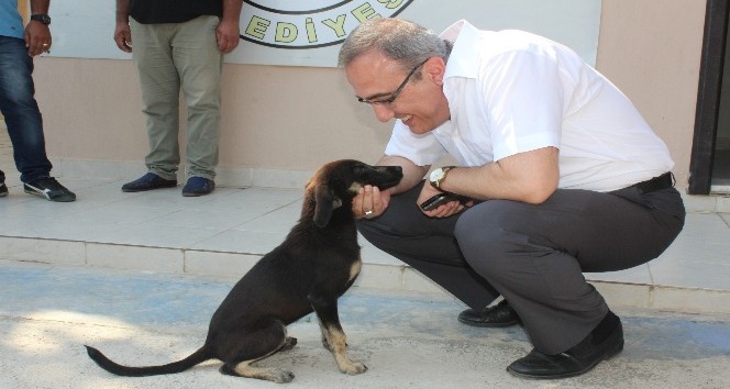 Başkan Karaçoban’dan sokak hayvanları geçici bakım merkezine ziyaret