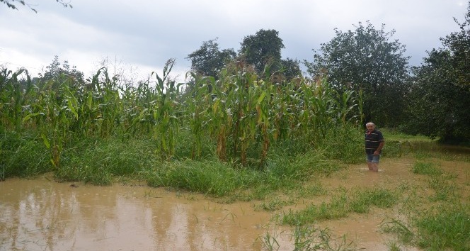 Sapanca’da yağan yağmur taşkınlara sebep oldu