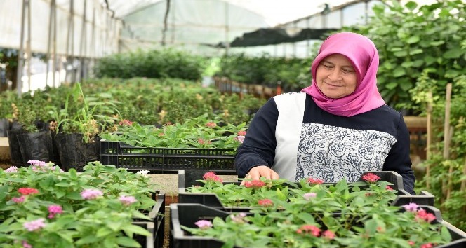 Kepez Belediyesi kendi bitkisini kendisi üretiyor