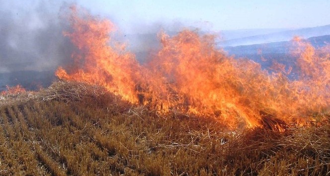 Çukurova’yı zehirlemenin bedeli 42 TL