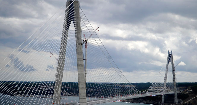 Kuzey Marmara Otoyolu güzergahına 604 bin fidan daha dikilecek