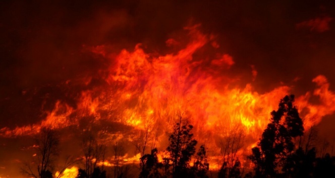 İzmir&#039;de büyük orman yangını