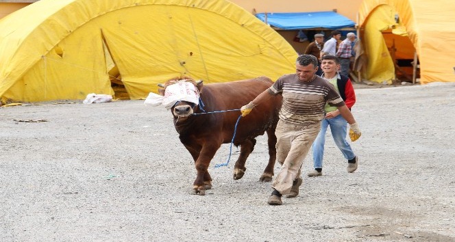 Yozgat’ta kurbanlık hayvanlar pazarda alıcılarını bekliyor