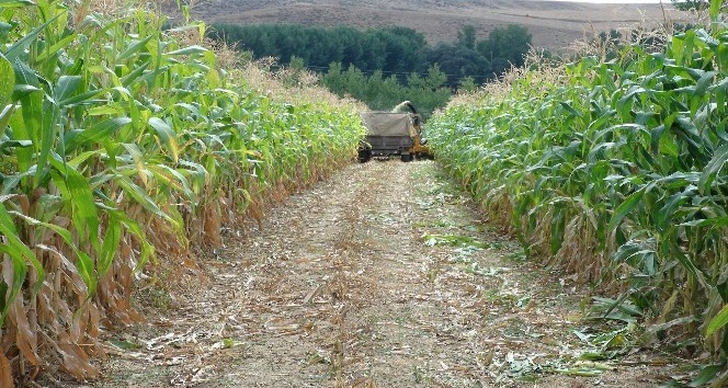 Yozgat’ta slajlık mısır ve soya fasulyesi tarla günü düzenlendi