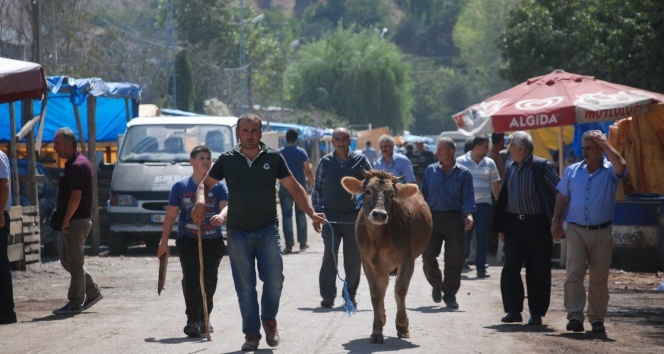 Kurban pazarının en büyükleri 11 bin ile 2 bin liradan satışa çıkarıldı