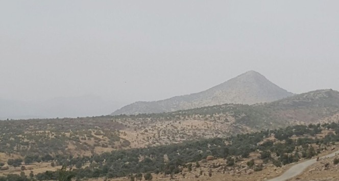 PKK’lılardan koruculara taciz ateşi