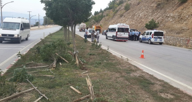 340 promil alkollü sürücünün kullandığı araç 11 selvi ağacını devirerek zor durdu