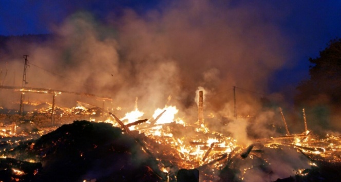 Yangın bir köyü yok etti