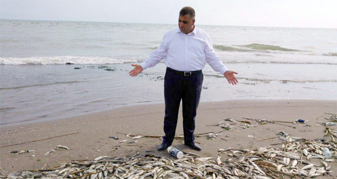 Mersin&#039;deki balık ölümleri korkuttu