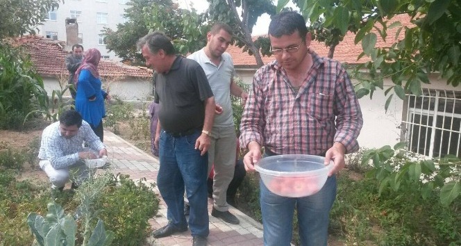 Yozgat Toplum Sağlı Merkezinde hastalar yetiştirdikleri sebzeleri topladı