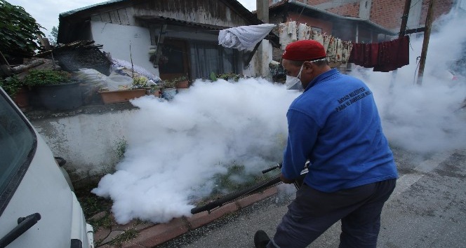 Akyazı Belediyesi ekipleri çöp evi temizledi