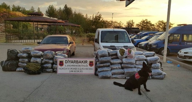 Diyarbakır’da 345 kilogram esrar ele geçirildi