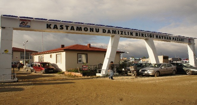 Kastamonu’da hayvan pazarı tekrar kapatıldı