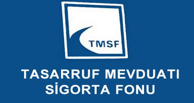 İki firma TMSF’ye devredildi