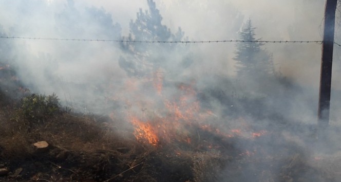 Yozgat’ta orman yangınını Vali Yurtnaç bildirdi