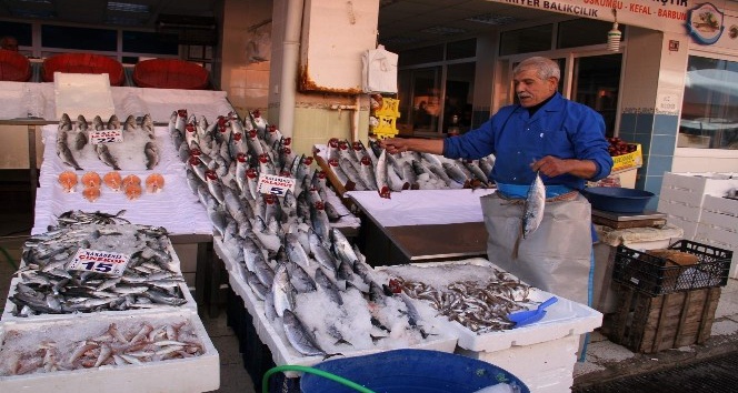 Yozgat’ta balık tezgahlarında çeşitlilik arttı