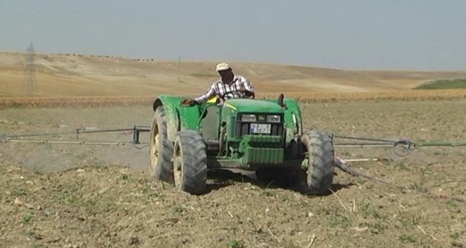 Şanlıurfa’da ilk kez kabak ekimi yapılıyor