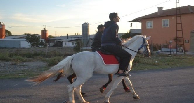 Bigadiç’te Rahvan atlar yarışlara hazırlanıyor