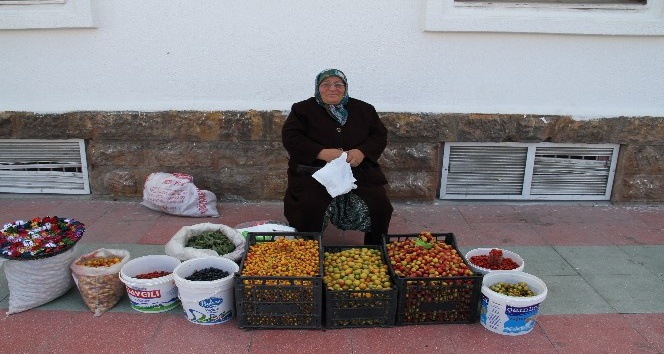 Dağdan topladığı armut, erik ve kuşburnunu satarak geçimini sağlıyor