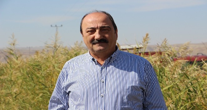 Üretici TMO’dan fiyat bekliyor